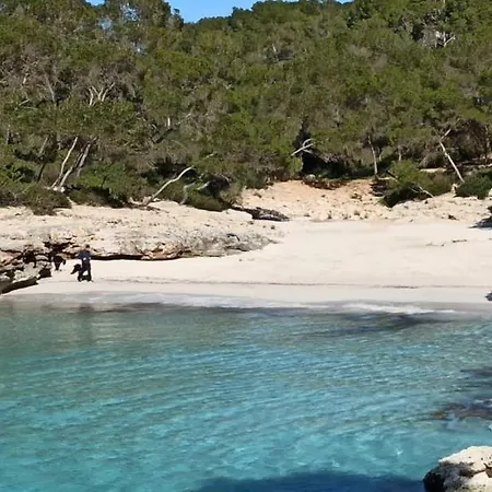 Burgit Portopetro